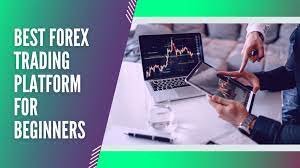 Best Forex Trading Platforms for Beginners